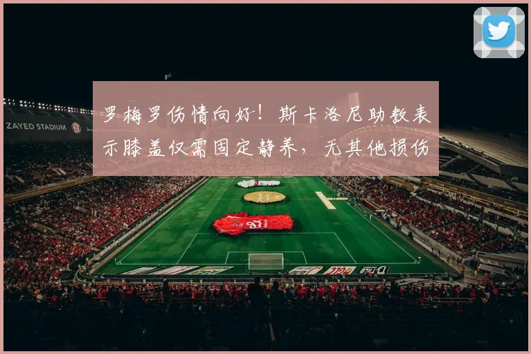 罗梅罗伤情向好!斯卡洛尼助教表示膝盖仅需固定静养,无其他损伤